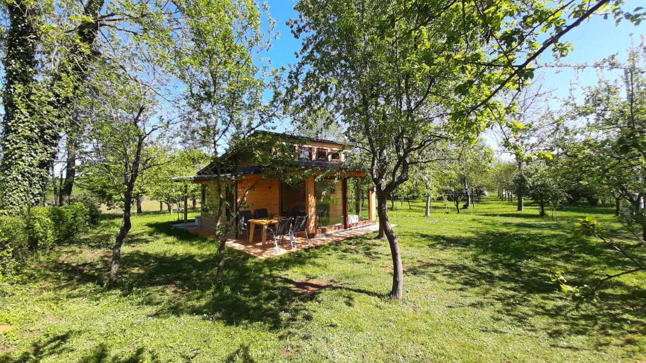 Tiny House Grabovac Villa Rakovica Exteriör bild